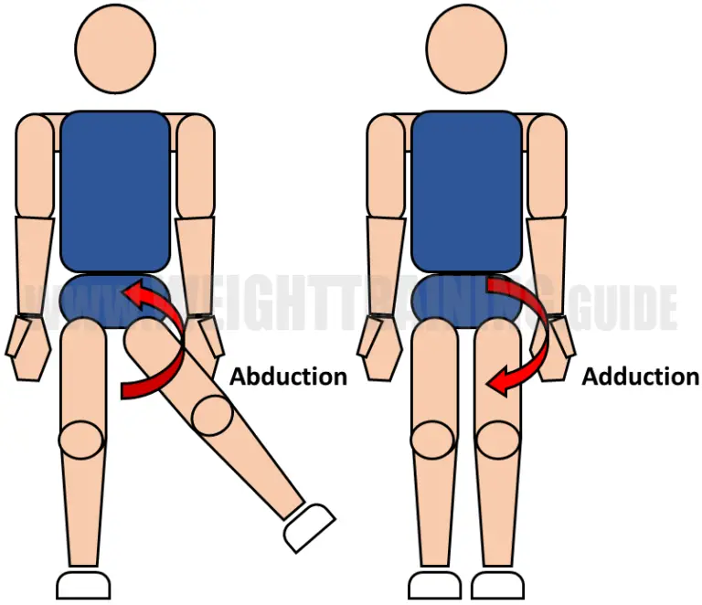 Joint Articulations And The Three Planes Of Motion Muscle Activation Guide