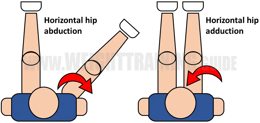 Horizontal hip abduction and horizontal hip adduction