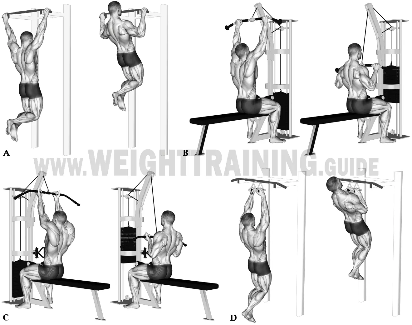 Vertical pulling exercises