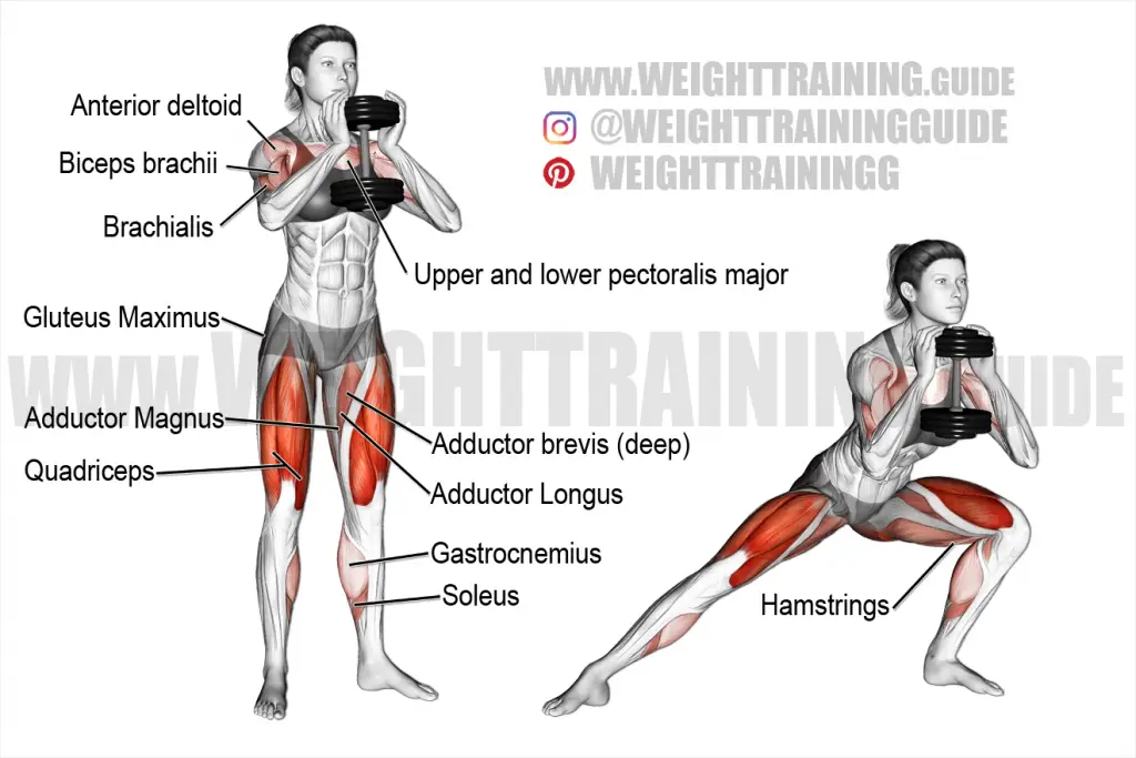 Dumbbell Lunge Exercise Instructions And Video Weight Training Guide