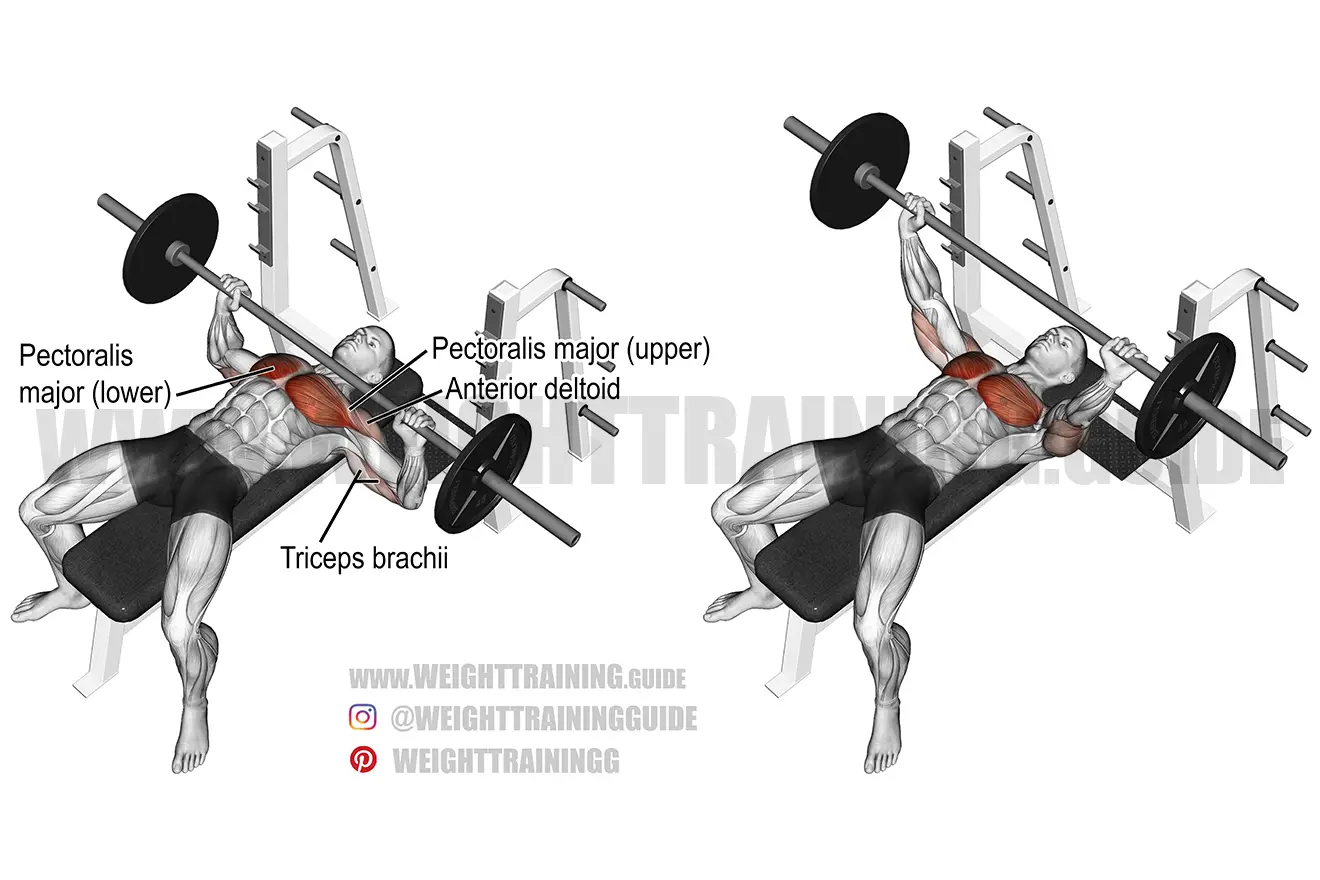 The Complete Guide to How to Bench Press Right