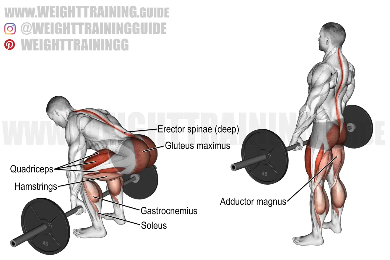 barbell-deadlift