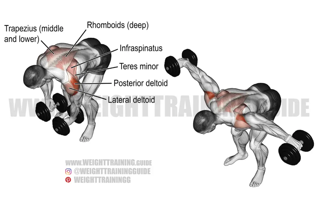 Bent-over two-arm dumbbell row exercise instructions and video