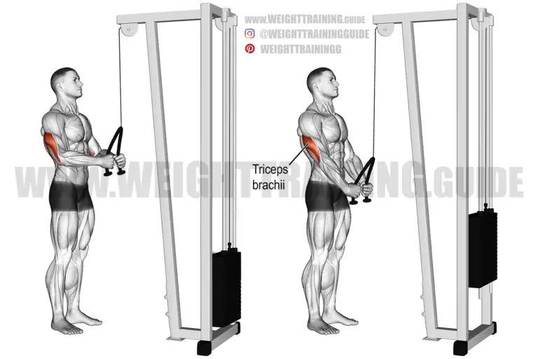 Triceps rope push-down