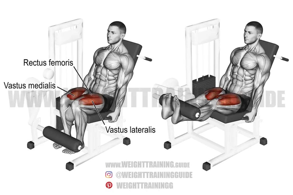 Leg extension exercise instructions and video Weight Training Guide