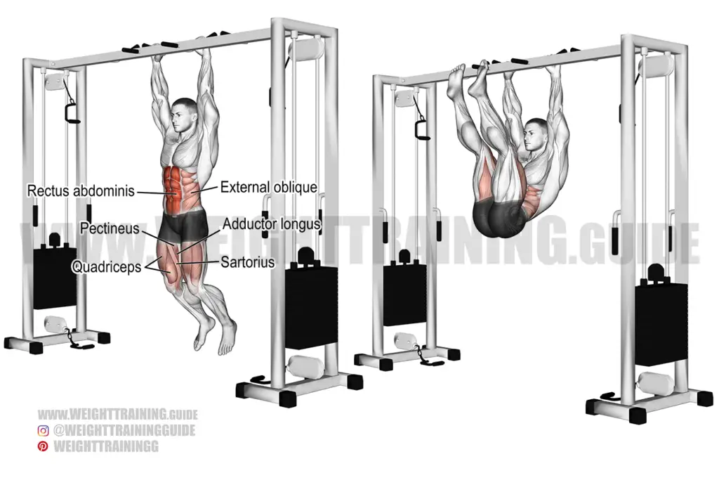 Hanging straight leg and hip raise guide and video | Weight Training Guide