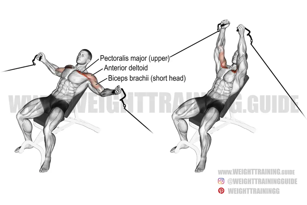 Incline Cable Fly Exercise Guide And Video | Weight Training Guide