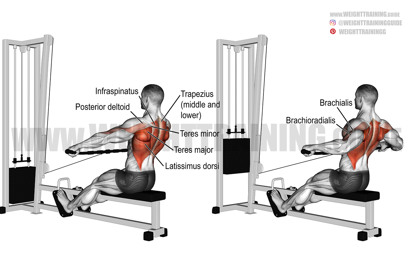 Straight-back wide-grip seated cable row exercise