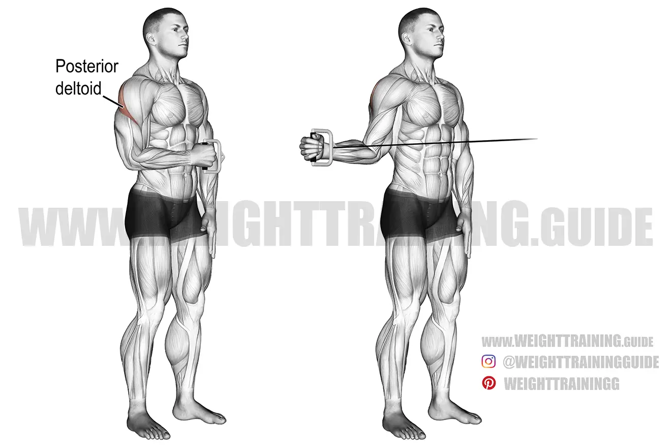 Cable external shoulder rotation exercise