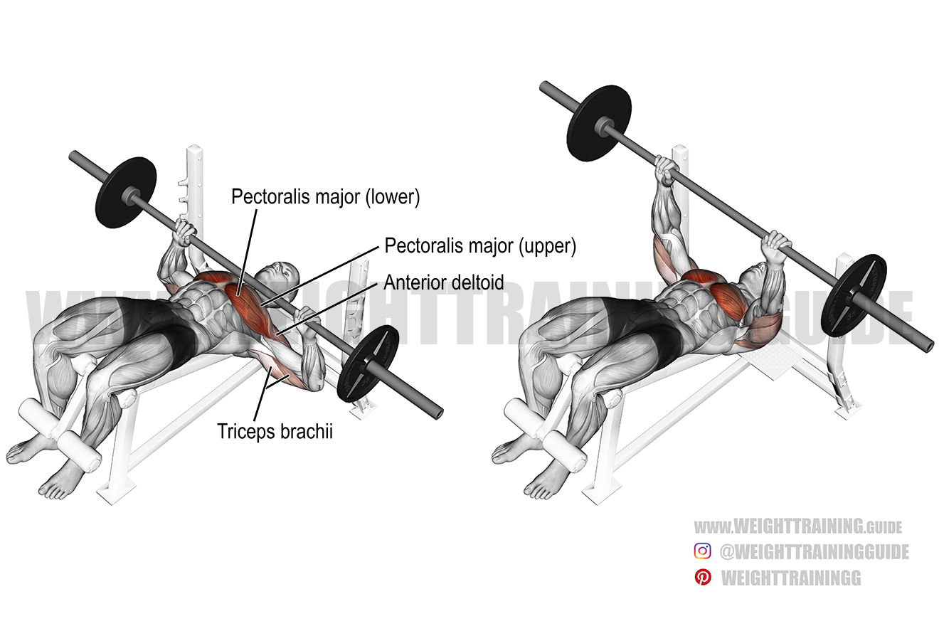 Decline barbell bench press exercise