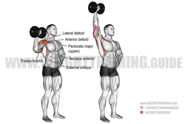 Dumbbell One Arm Shoulder Press Instructions And Video