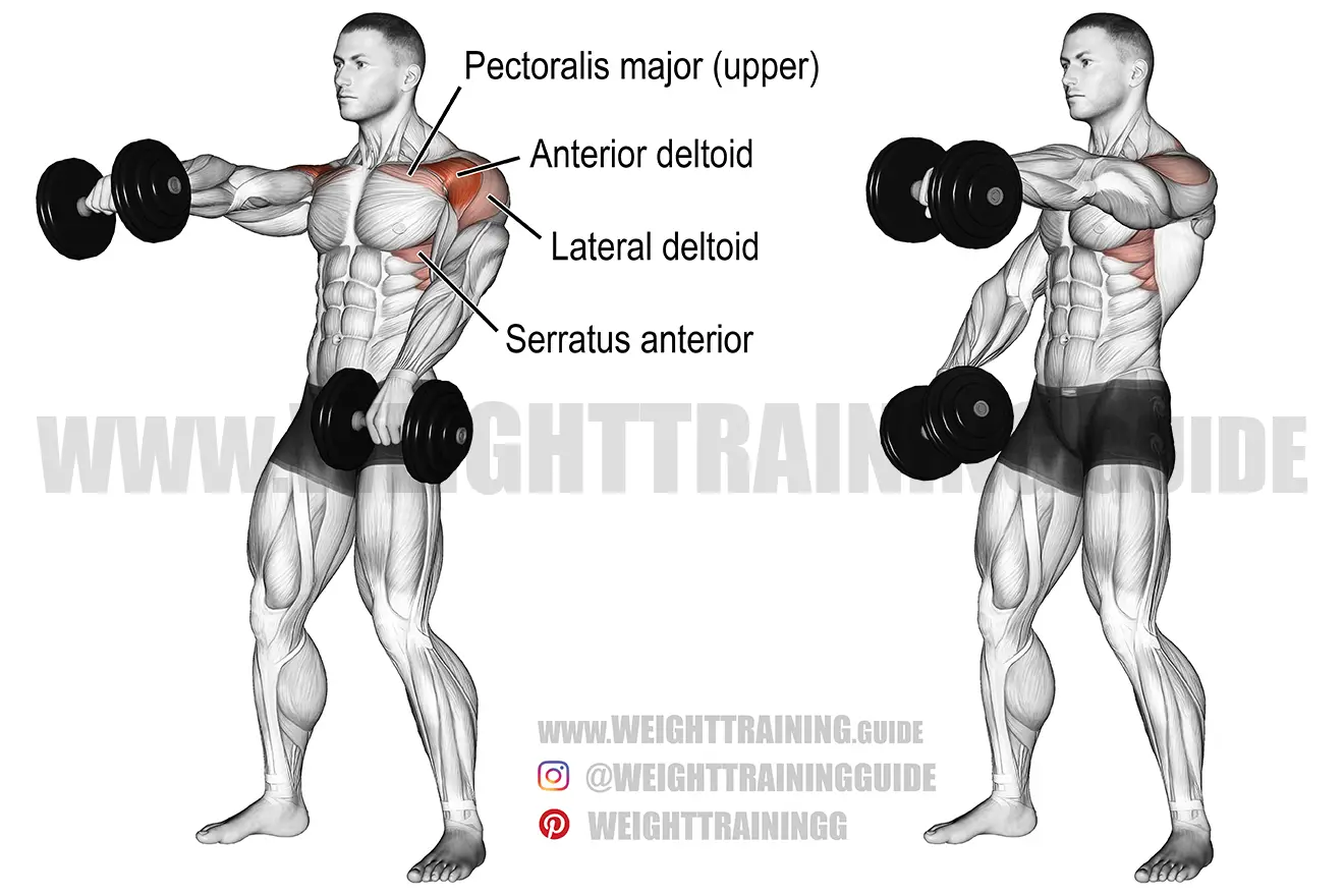 Alternating dumbbell front raise guide and video