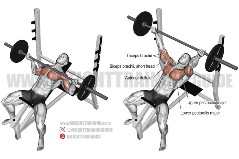 Incline reverse-grip barbell bench press
