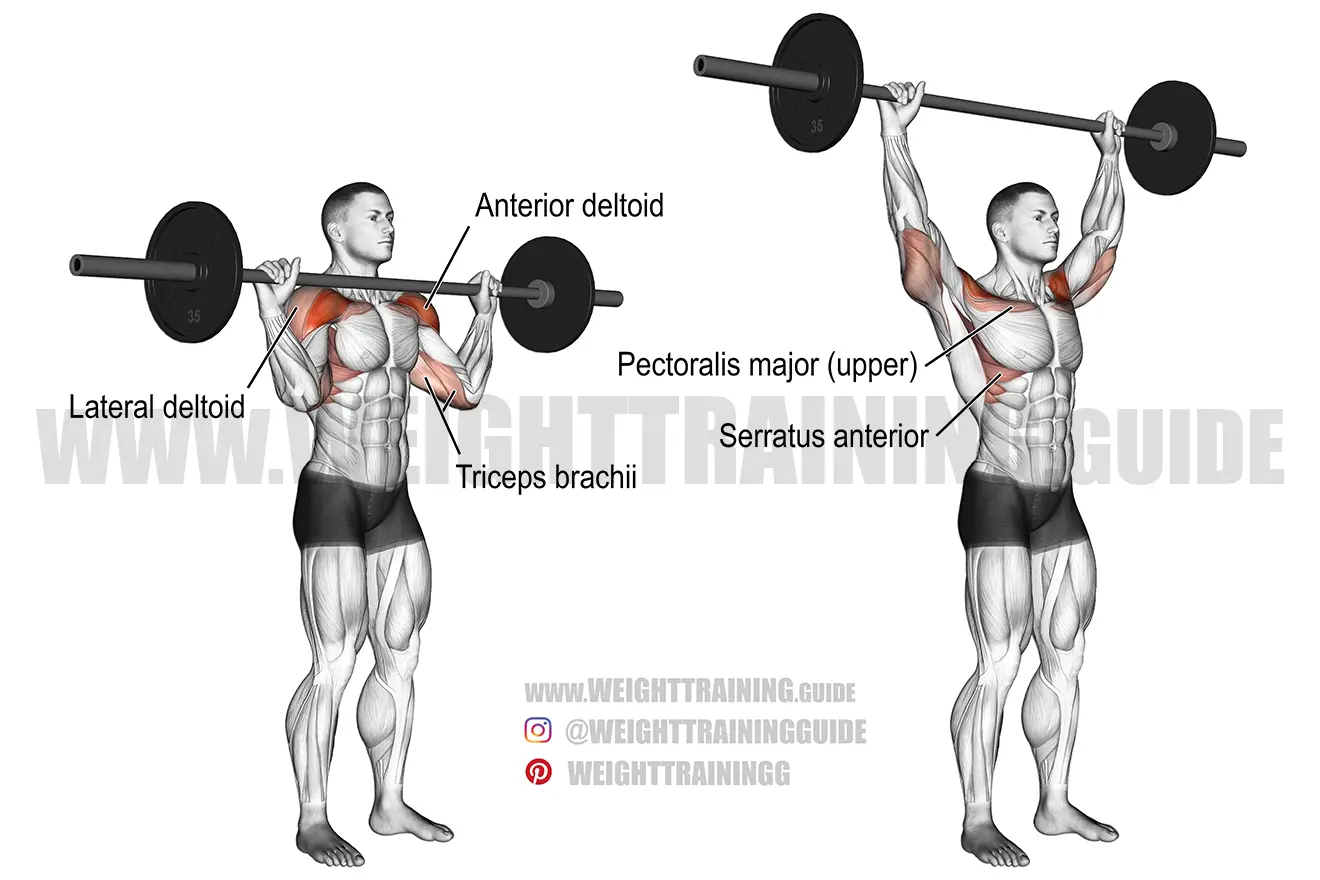 Barbell shoulder press exercise guide and video