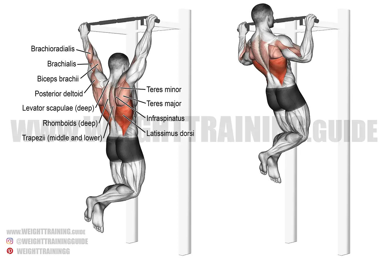 Pull-up exercise