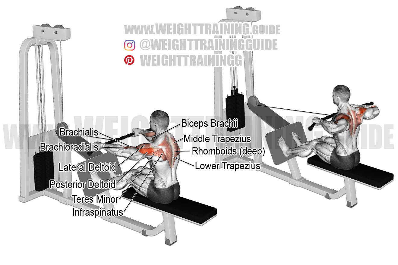 Cable rear delt row exercise