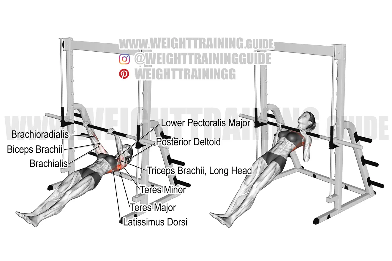Inverted row exercise