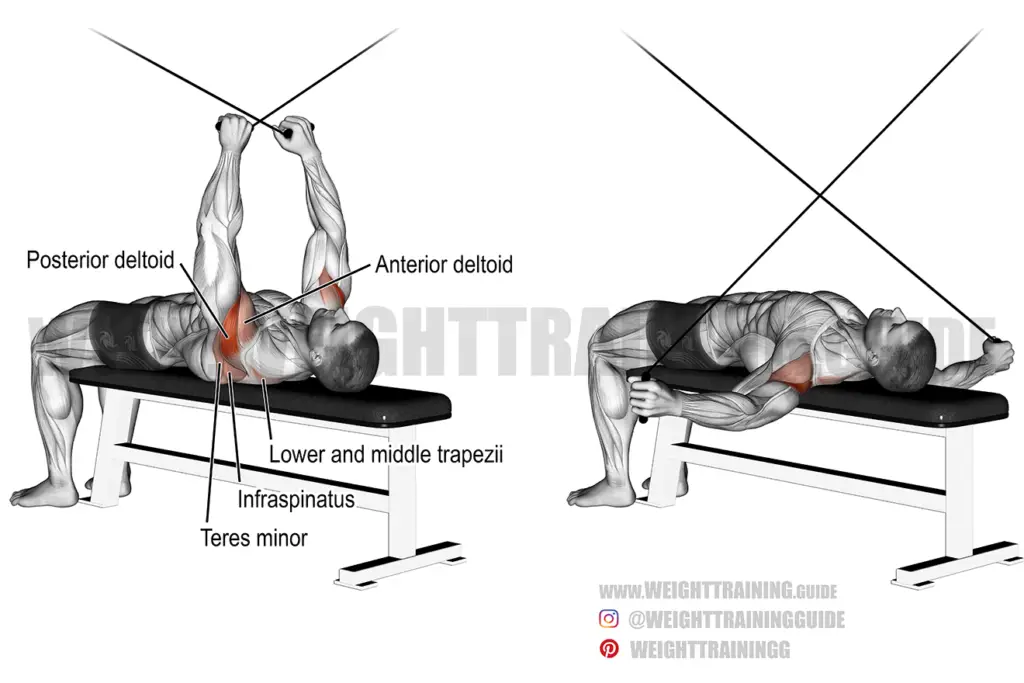 Supine cable reverse fly instructions and video | Weight Training Guide