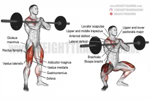 Zercher squat exercise instructions and video | Weight Training Guide