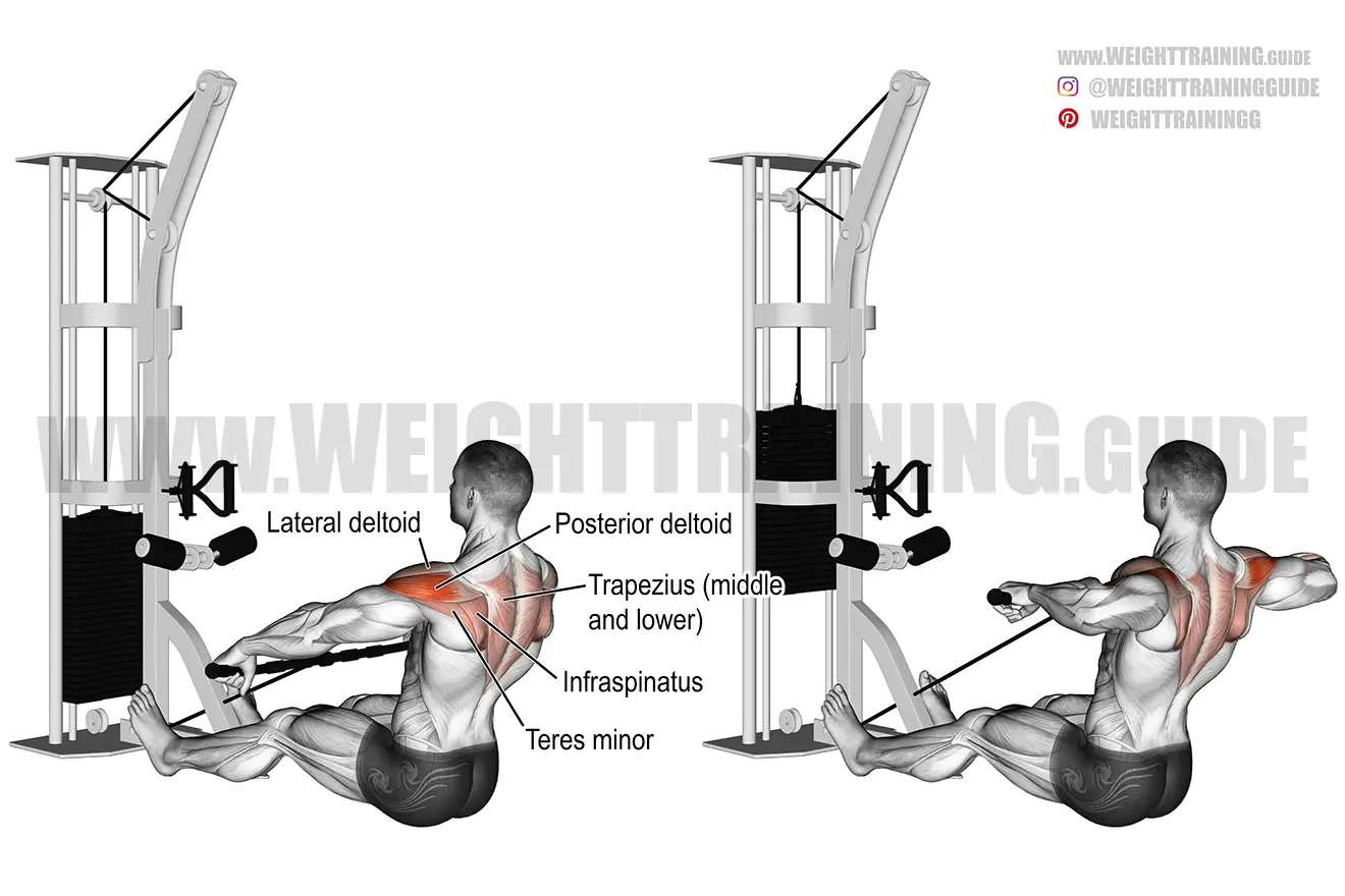 Cable rear delt row exercise