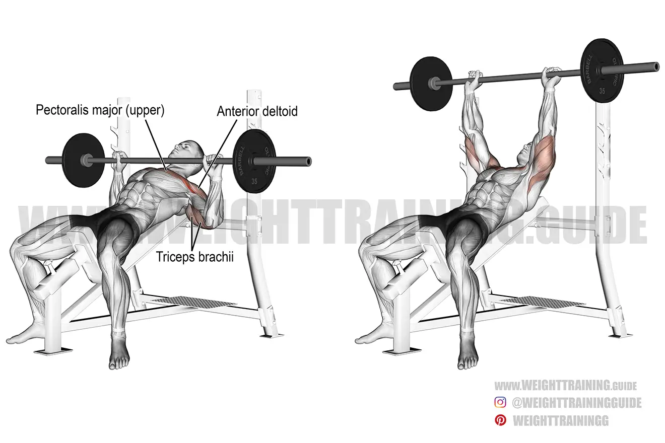 Incline barbell bench press exercise