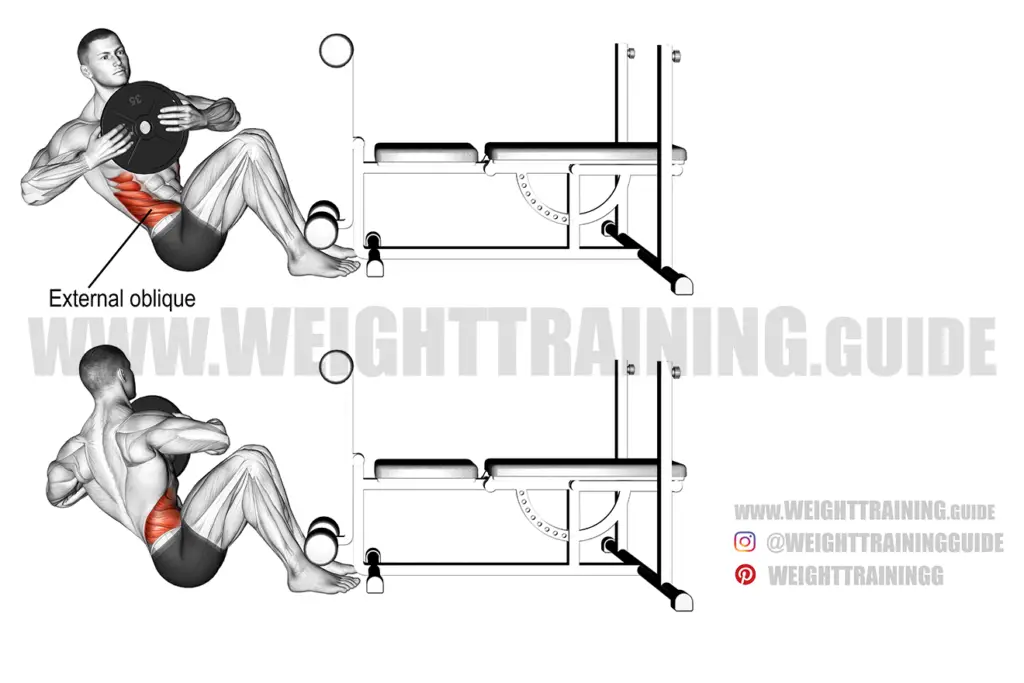 Weighted Russian twist exercise guide and video | Weight Training Guide