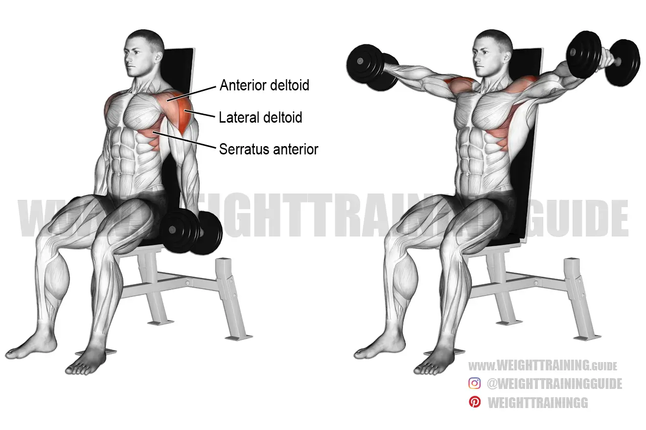 standing dumbbell side laterals