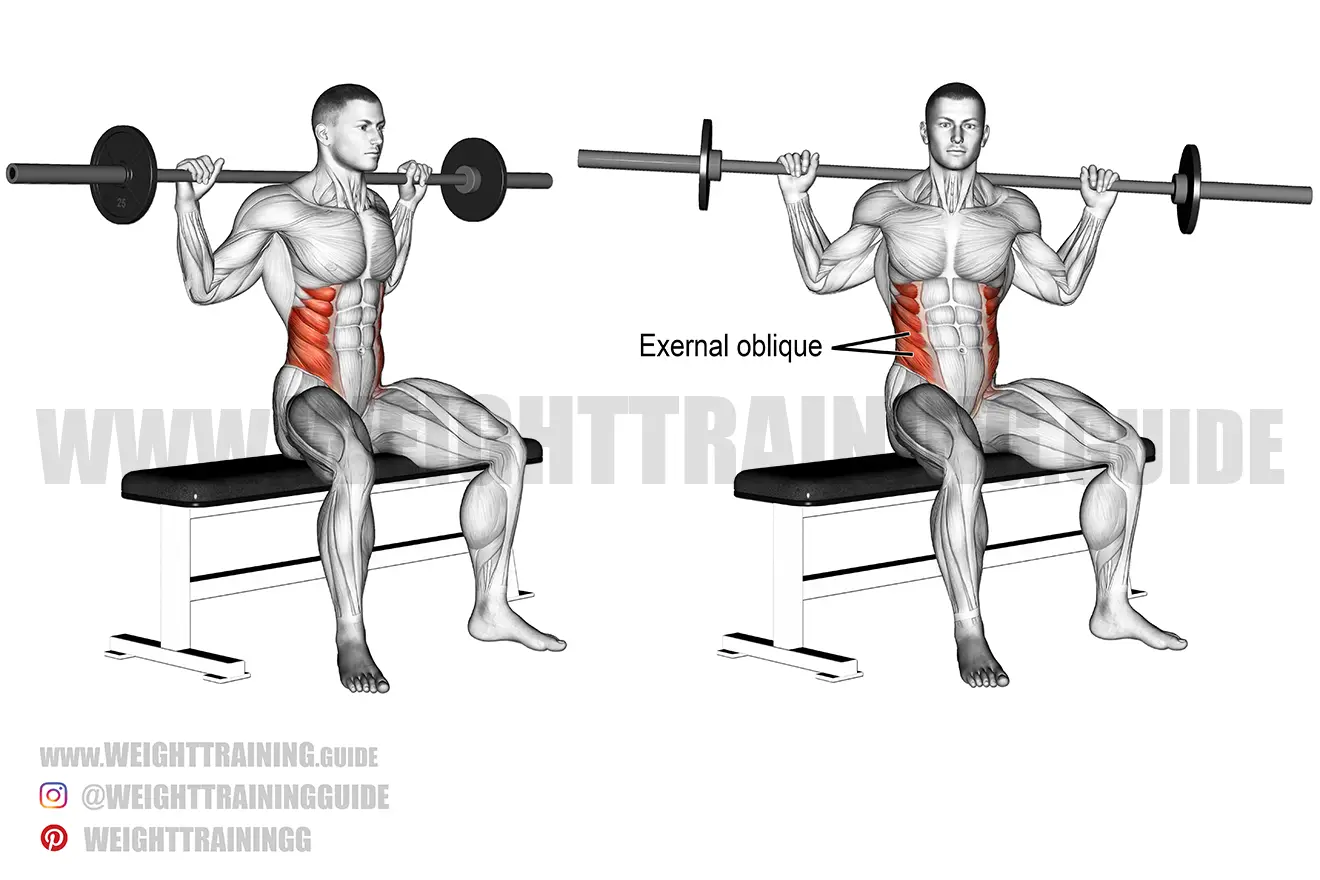 Seated barbell twist exercise