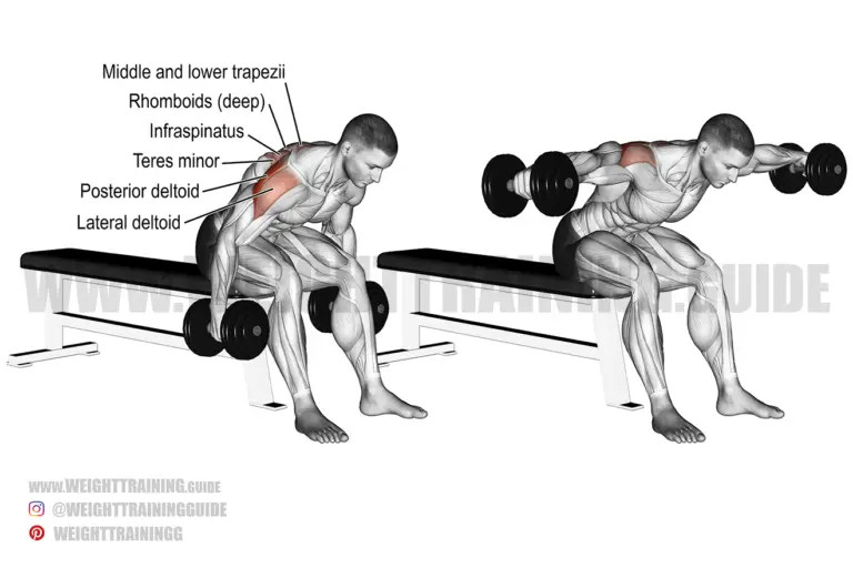 Seated reverse dumbbell fly