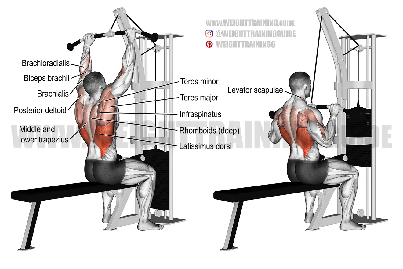 Medium-grip lat pull-down exercise