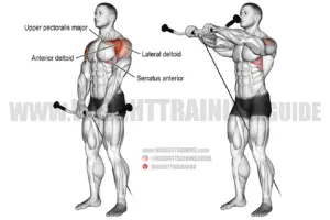 Cable front raise exercise instructions and video | Weight Training Guide