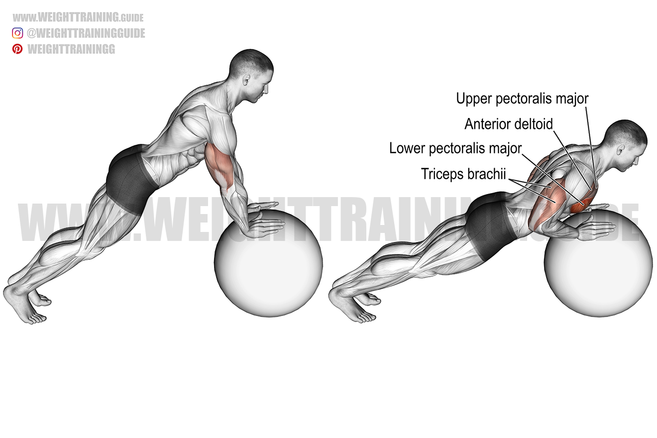 Stability ball push-up exercise