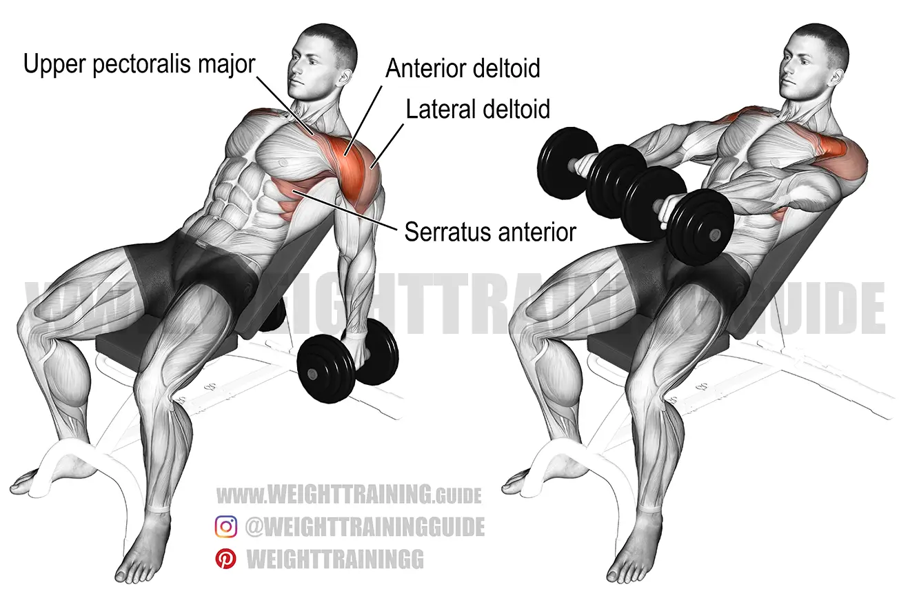Incline dumbbell front raise exercise