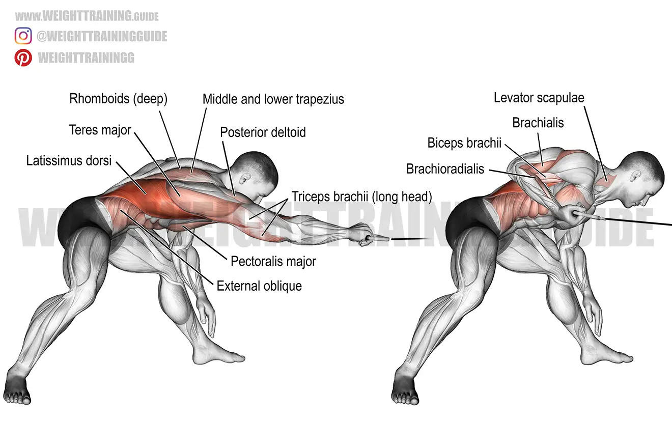 Bent-over one-arm cable pull exercise