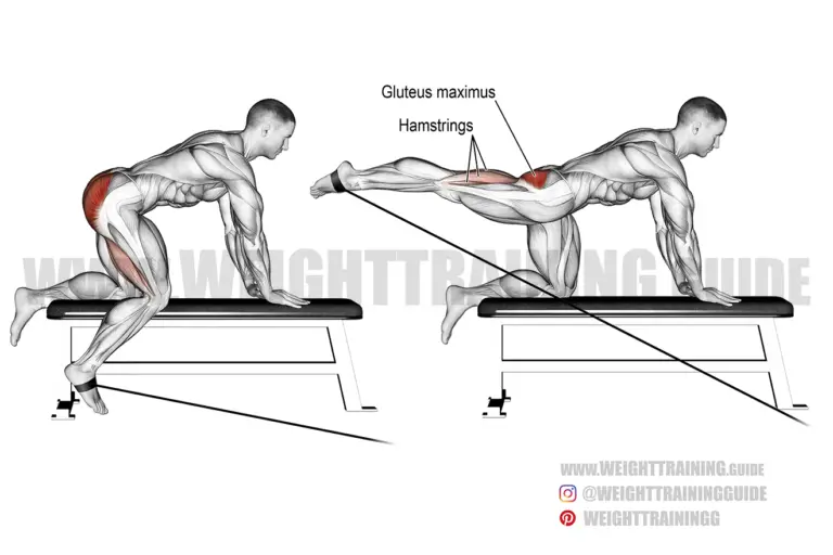 Kneeling cable hip extension