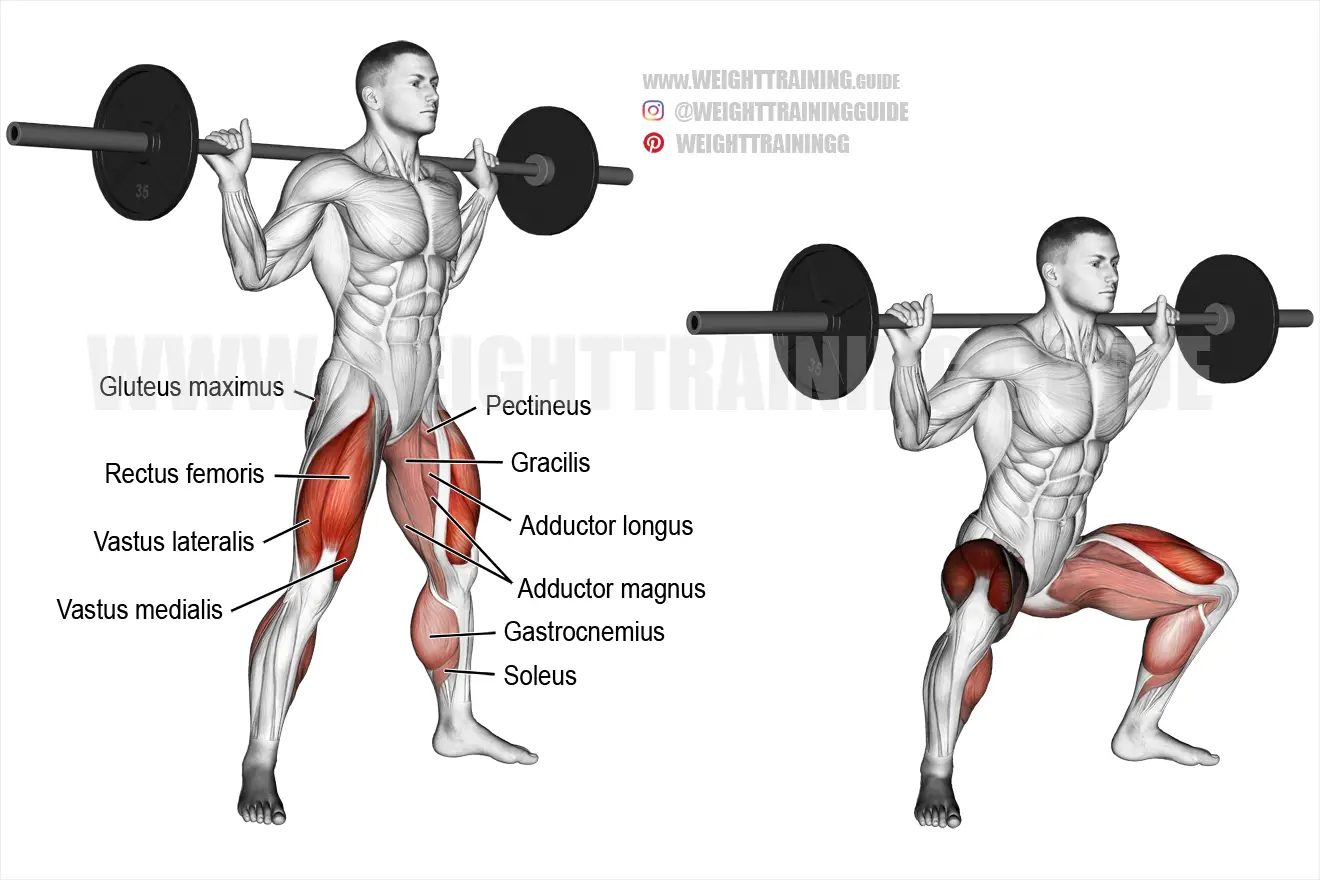Barbell sumo squat exercise
