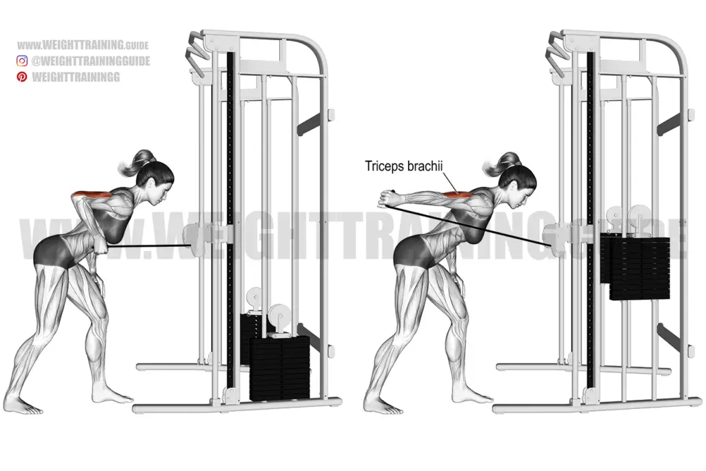 Cable triceps kickback exercise instructions and video