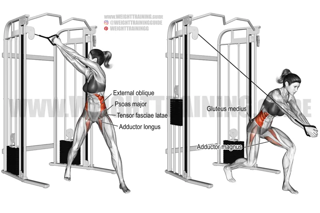 Cable wood chop exercise instructions and video | Weight Training Guide