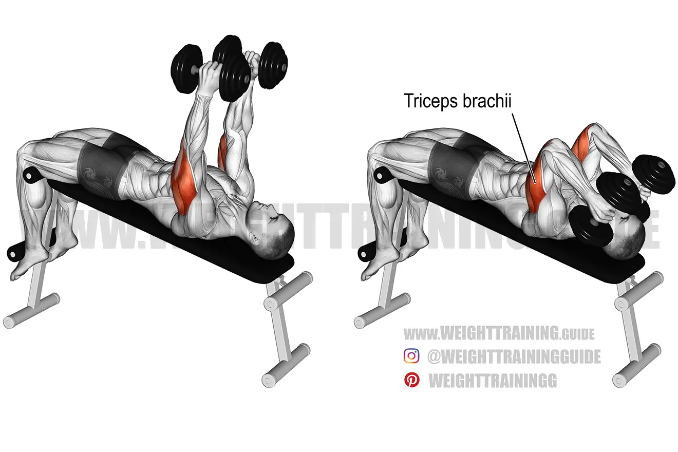 Decline dumbbell triceps extension exercise