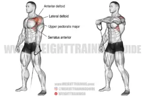 Cable one-arm front raise exercise instructions and video