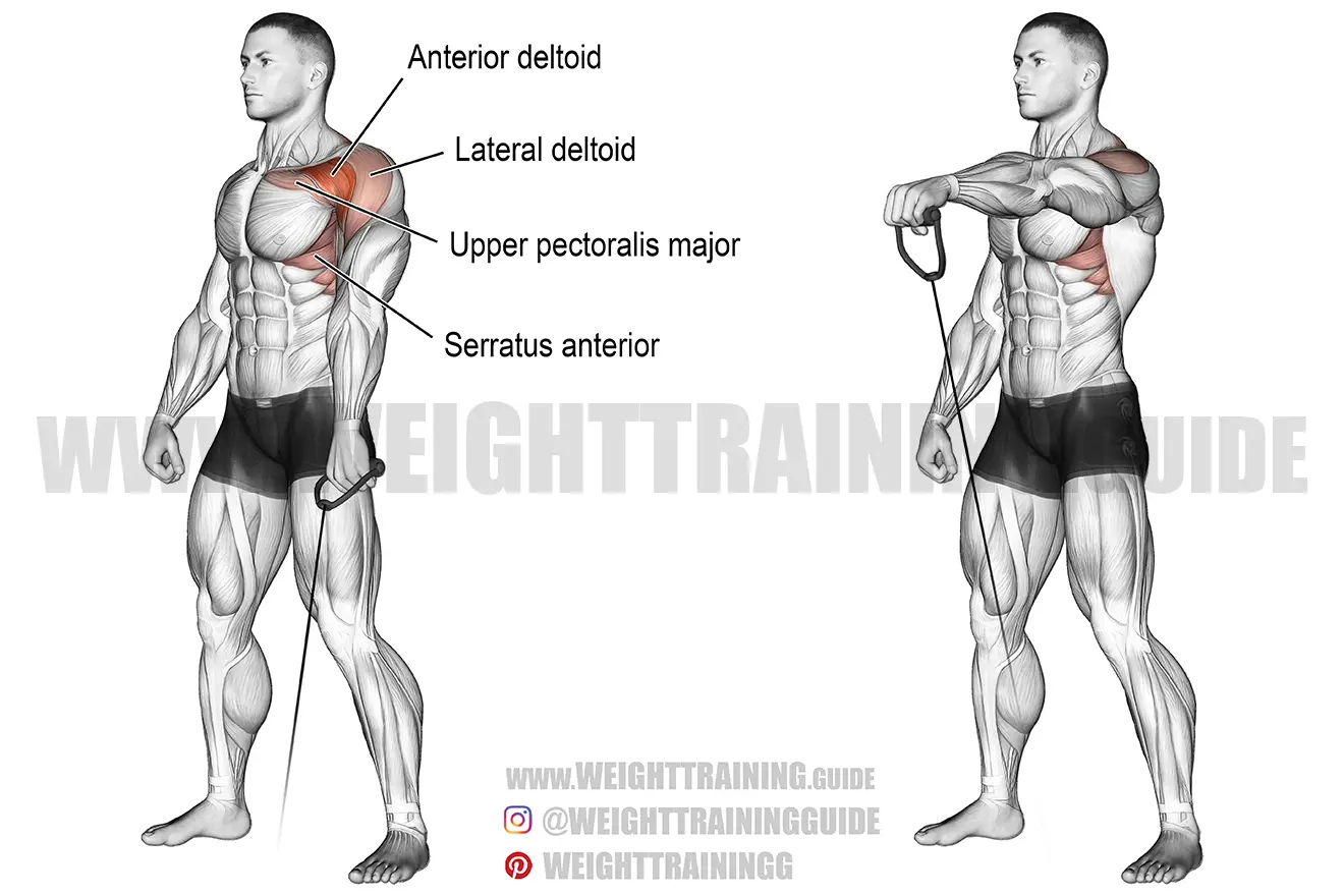 Cable one-arm front raise exercise