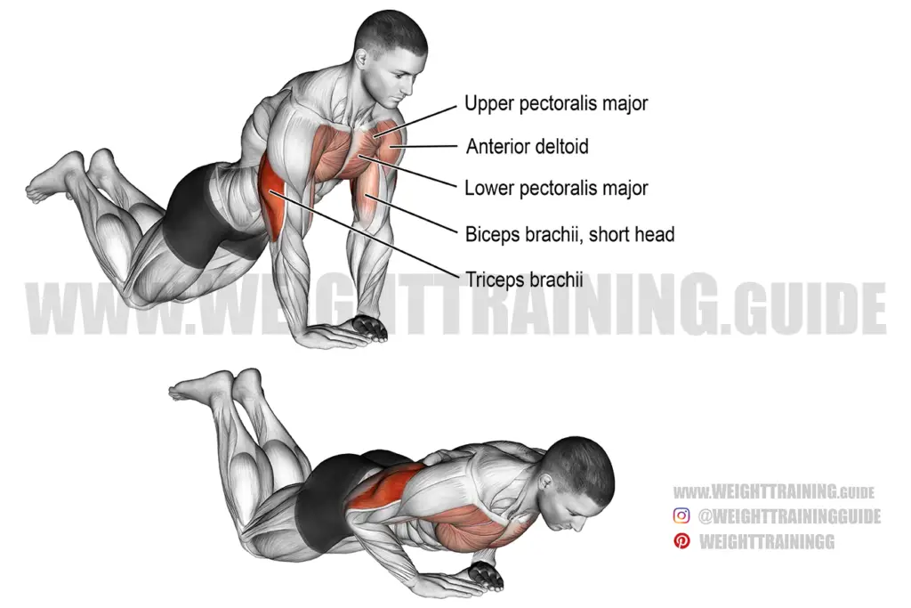 Diamond push-up on knees exercise instructions and video