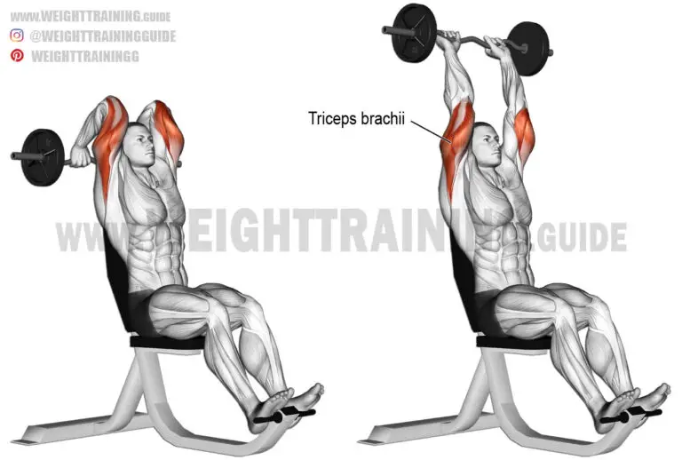 Seated overhead EZ bar triceps extension