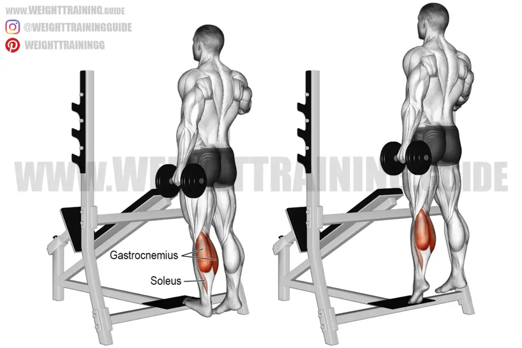 Standing dumbbell one-leg calf raise exercise instructions and video