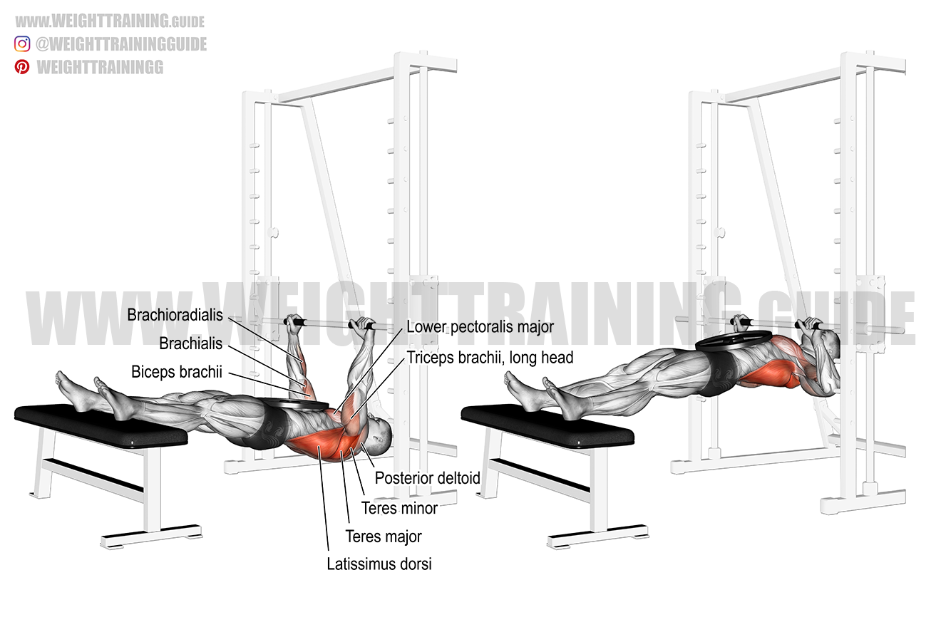 Weighted inverted row exercise