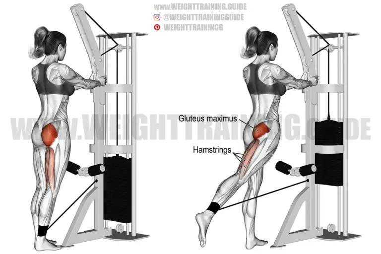 Standing cable hip extension