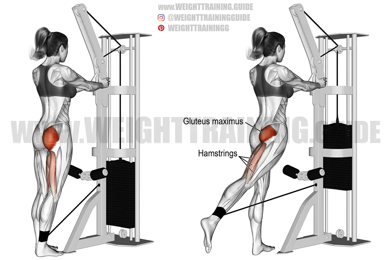Standing cable hip extension exercise