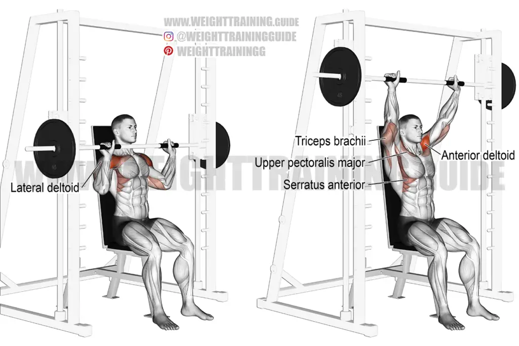 Smith Machine Seated Overhead Press Exercise Instructions And Video 