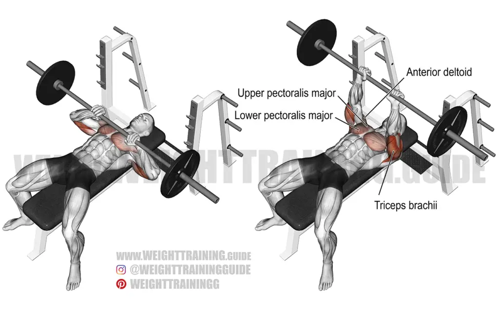 Close-grip barbell bench press exercise instructions and video