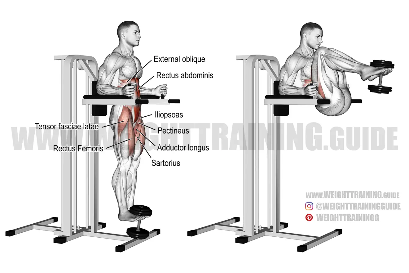 Weighted captain's chair leg and hip raise exercise